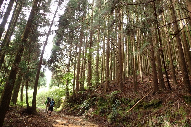 2014_1004 卓社林道登水社大山_003