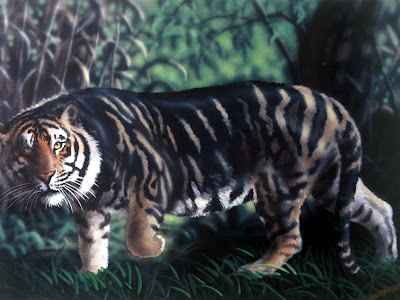 √ Terminé! chat pelage tigre 151796-Chat pelage tigre prix