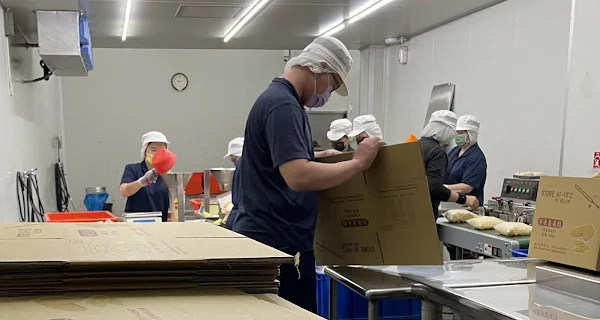 ▲小醇專注認真投入工作中。（中彰投分署提供）