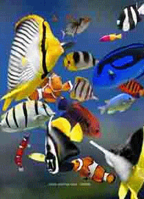  Gambar  34 Animasi Bergerak Ikan  Air Laut Gambar  Lucu Gif  