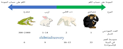 التكاثر فى الكائنات الحية
