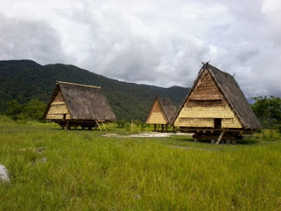 Rumah Adat Tambi , Rumah Adat Sulawesi Tengah