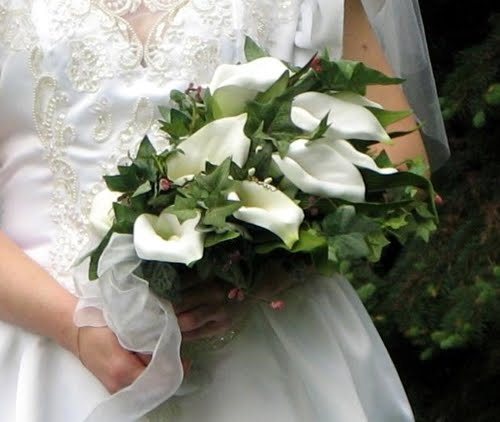 Gorgeous white calla lilies wedding bouquet with green foliage