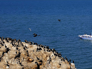 Pulau Dua atau Pulau Burung