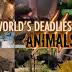 World's Deadliest Animals (2007)