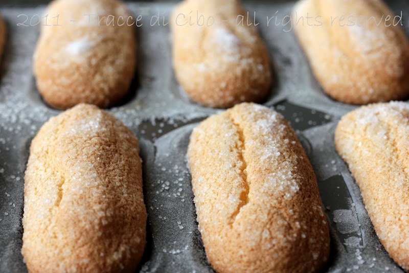 I BISCOTTI SAVOIARDI FATTI IN CASA CON GLI STAMPI DI ELENA