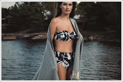 http://www.royal-blue.jp/brand/fantasie_swimwear/cocoaisland.html