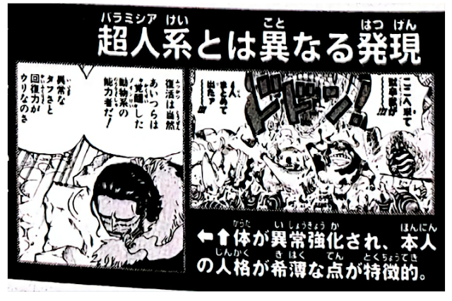 One Piece: Zoan Awakening Weaknesses Revealed!