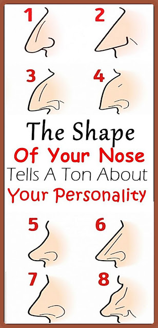 The Shape Of Your Nose Tells A Ton About Your Personality!