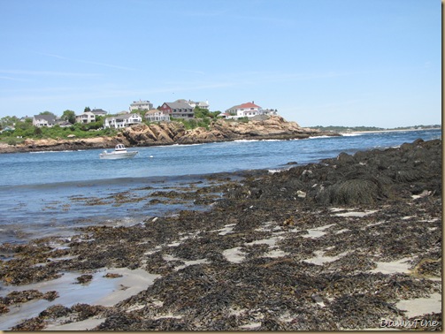 Good Harbor beach, Passport rest._20090617_153