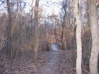 hiking trail flanked by dry barren trees