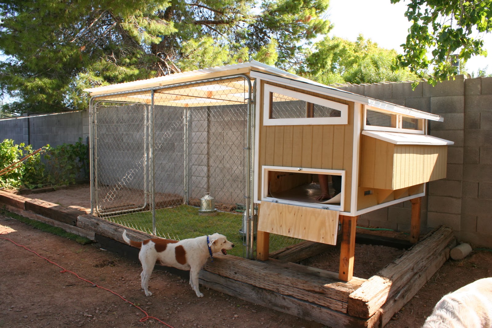  Chicken  House  Plans  Simple  Chicken  Coop  Designs 