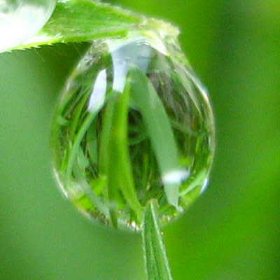 Reflexões Evangélicas