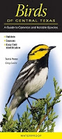 Birds Of Texas Field Guide