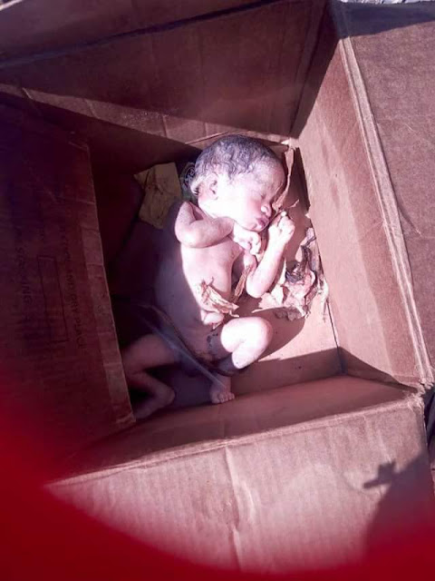 Graphic Photos: Newborn baby found dead inside carton