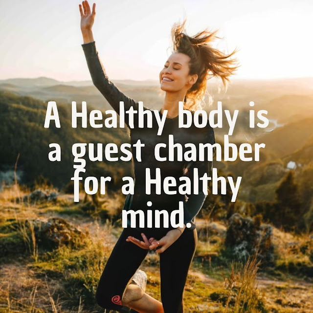 A healthy body is a guest chamber for a healthy mind.