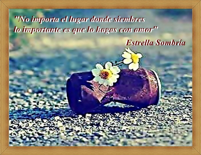 FRASES PARA REFLEXIONAR
