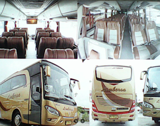 BUS LIMBERSA JAMBI PALEMBANG