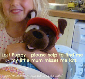 #lostteddy, #southampton