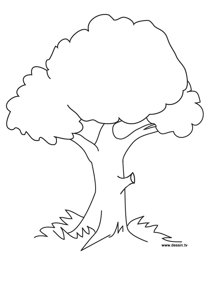 Download Gambar Sketsa Hitam Putih Mewarnai Pohon Terbaru 