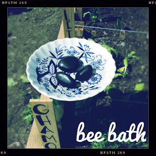 Bee bath || DIY || The Graffitied Gardenia 