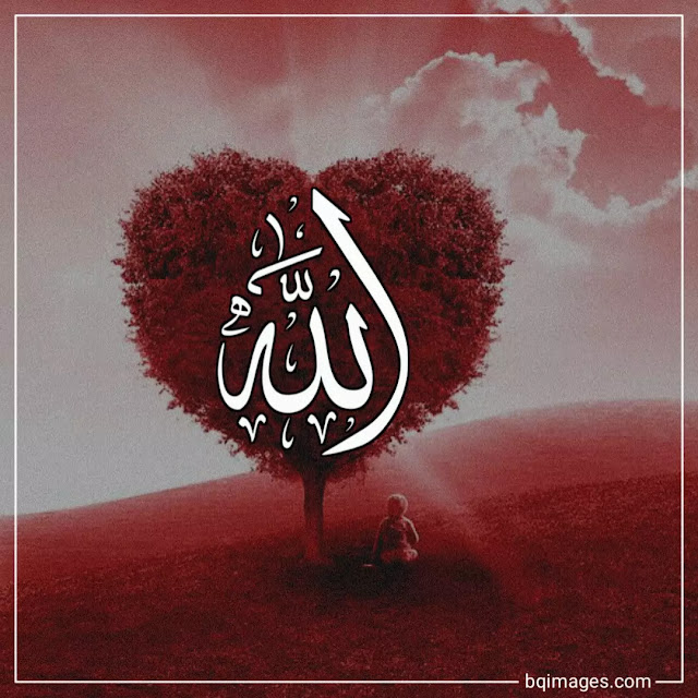 beautiful allah pictures download