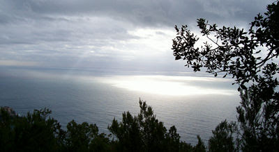 Looking out over the sea from the Cinque Terre.