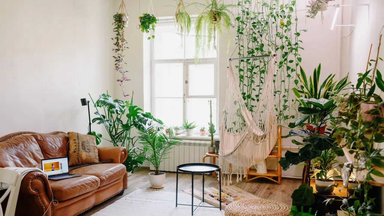 IA Importância Da Cores - Cores Modernas Para Casa Inclua Alguns Elementos Verdes: