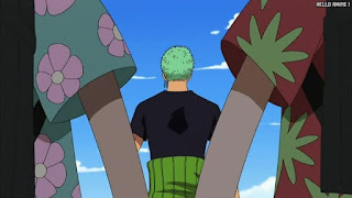 ワンピース アニメ 313話 ロロノア・ゾロ Roronoa Zoro | ONE PIECE Episode 313 Water 7