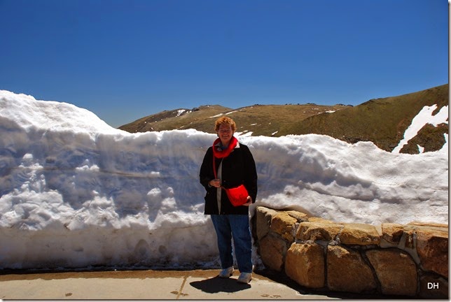 06-19-14 A Trail Ridge Road RMNP (226)