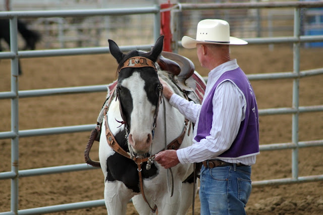 A volunteer steadies a horse while a contestant ties a goat