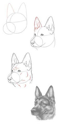 Aprende Como Dibujar un Perro Paso a Paso - Tutorial