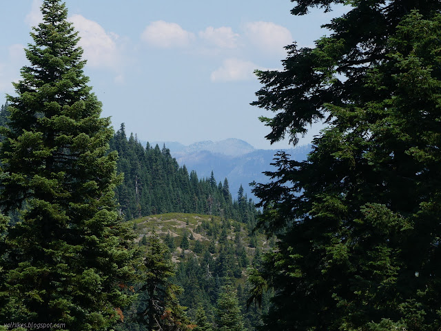 smoky domes northeast