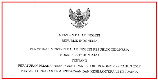 PERMENDAGRI NOMOR 36 TAHUN 2020 TENTANG PERATURAN PELAKSANAAN PERPRES NOMOR 99 TAHUN 2017 TENTANG GERAKAN PKK