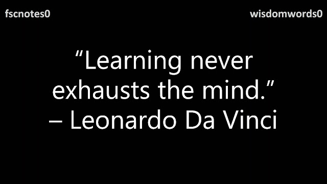 13. “Learning never exhausts the mind.” – Leonardo Da Vinci