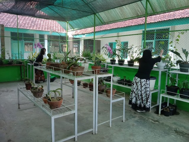 Greenhouse SMA Negeri 3 Salatiga, Tempat Perawatan dan Budidaya Tanaman