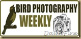 bird photog weekly