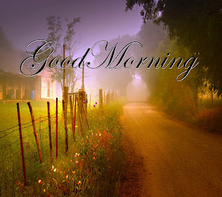 GOOD MORNING HD DESKTOP WALLPAPER PHOTOS