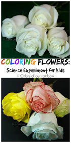 Coloring flowers experiment @colorsofourrainbow.blogspot.ae