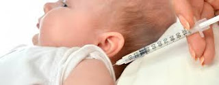 vacinas recem nascido portugal, vacinas bebe fora plano, vacinas bebe pagas, pnv 2017 dgs, vacinas bebe portugal, vacinas bebe nao comparticipadas, plano nacional vacinação 2017, vacina bexsero preço, pnv 2017 pdf