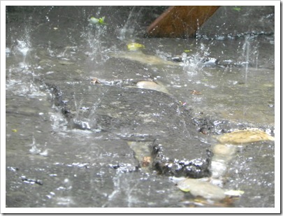 Splashing rain in Agde