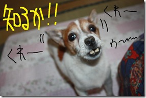 今日カズ０９１２２２　６