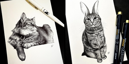00-Feline-Drawings-Ineko-Kawai-www-designstack-co
