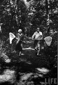 Vera y Vladimir Nabokov cazando mariposas en Ithaca, Nueva York