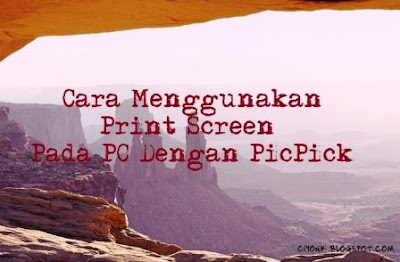 Cara Menggunakan Print Screen Pada PC Dengan PicPick
