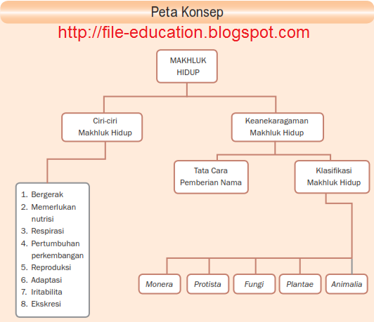 Ciri Ciri Mahluk Hidup ~ Alsen Saloka Blog's