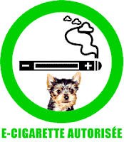 cigarette electronique