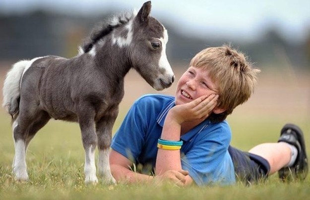 30 funny pictures of cute kids hanging out with animals, kids and animals