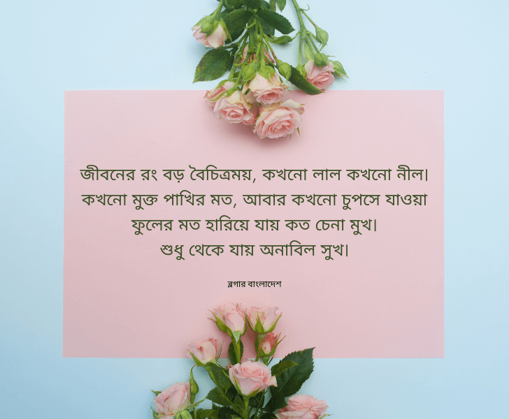 ফেসবুক স্ট্যাটাস