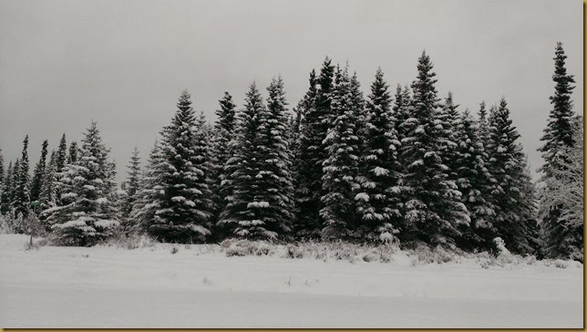 WP_20131214_011 WP_20131214_011